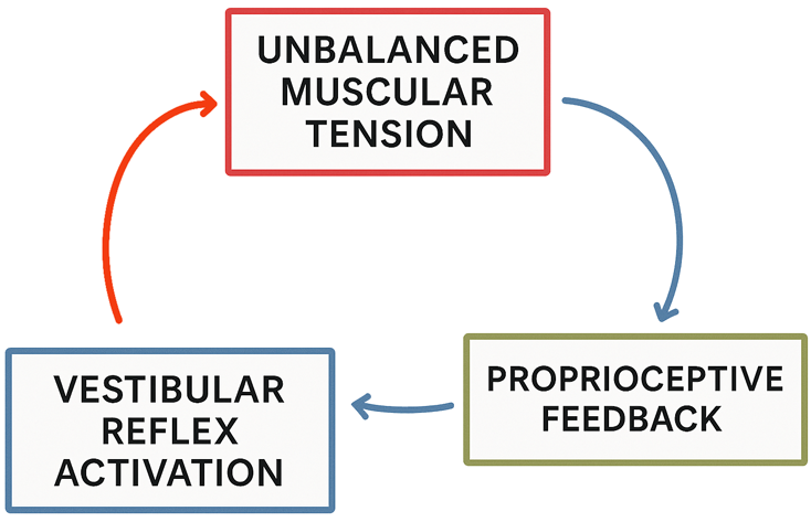 the-chronic-pain-loop